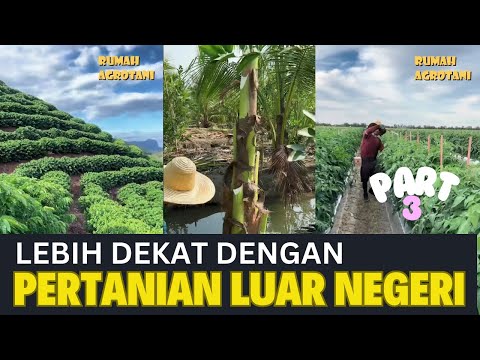 Lebih Dekat dengan Pertanian Modern di Luar Negeri Part 3 #kumpulanshorts