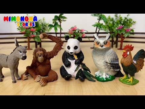 Nombres de Animales para niños  🐻🦘 Búfalo Oso Pardo Cisne Oveja y mas ✨ Mimonona Stories