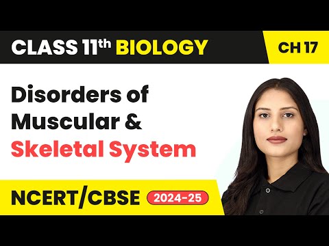 Disorders of Muscular and Skeletal System - Locomotion and Movement | Class 11 Biology Ch 17 | CBSE