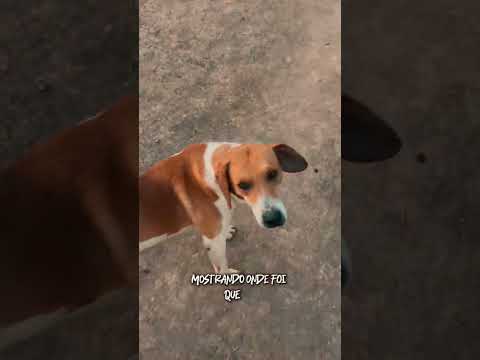 OLHA SÓ ONDE ELA ESTAVA! 😰 *eu nem acreditei quando vi*