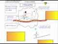 Ribosome Structure and Function