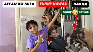 Affan Ka Pyara Dost | Dekhiye Bakra Nawab Ki Entry | duke390_naked | vlog32