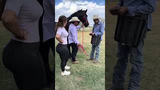 Le vendió el caballo frizon mira como termino esto 😱