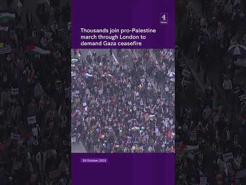 Thousands of pro-Palestine demonstrators march through London demanding a ceasefire in Gaza