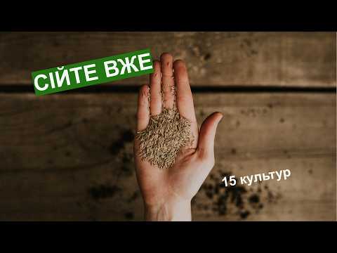 Що сіяти у березні: 15 холодостійких культур для раннього врожаю