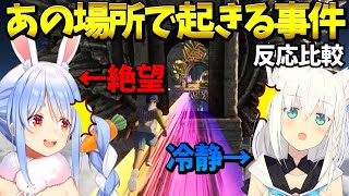 【Only Up!】例の場所で絶望するぺこらといつも通りなフブキ反応比較【ホロライブ切り抜き】兎田ぺこら/白上フブキ