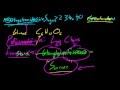 Carbohydrate Structure and Function