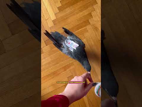 Буду держать вас в курсе ✌🏻