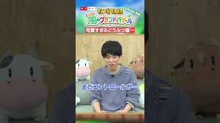 動画サムネイル