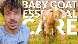 NEED TO KNOW Medications for Baby Goats