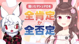 【トークコラボ】届いたマシュマロにルーレット結果に沿って全肯定か全否定でこたえる #Vtuber #みと椿ルーム