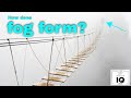 Fog Formation and Weather Concepts