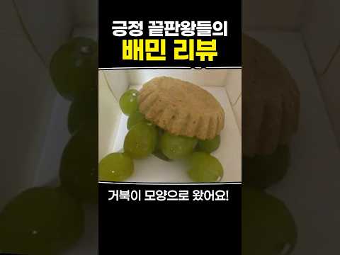 긍정 끝판왕들의 배민 리뷰