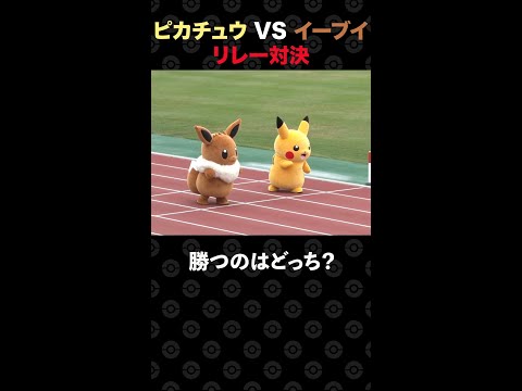 【公式】ポケモンかけっこ！ピカチュウ vs イーブイ