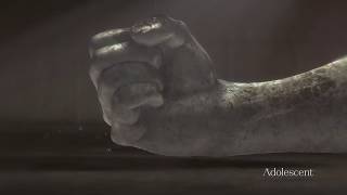 NETFLIX - ROMAN EMPIRE: REIGN OF BLOOD - MAIN TITLE - ANTHONY SERRAINO