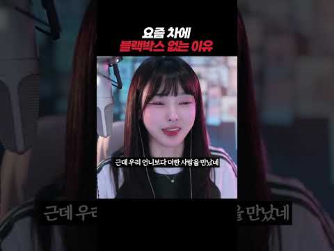 차에 <strong>블랙박스</strong> 안 다는 이유