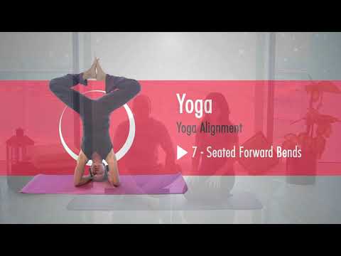 StepFlix, Yoga Alignment, class 7 Seated Forward Bends