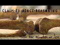 Claim, Evidence, and Reasoning in Social Studies