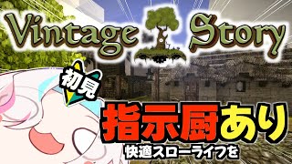 【 Vintage Story 】ゼロから始める Vintage Story 生活 ～ 六話：鉄の時代へ ～