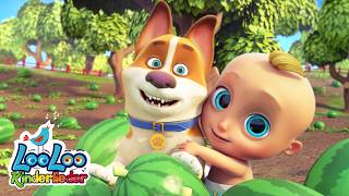 Unten an der Bucht 🐒🌊 Wilde Tiere entdecken & mitsingen 🎶 | LooLoo Kinderlieder