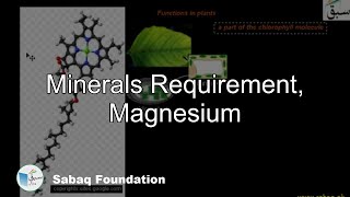 Minerals Requirement, Magnesium