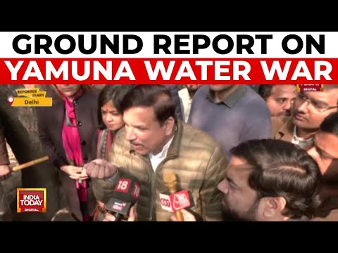 Delhi Election: AAP Protests Yamuna Water Quality, Challenges BJP Leaders To Drink | India Today