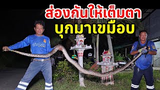 เจ้าของบ้านขนลุกซู่ บุกบ้านมาเขมือบ