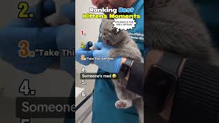 Cute Kitten Moments #ranking