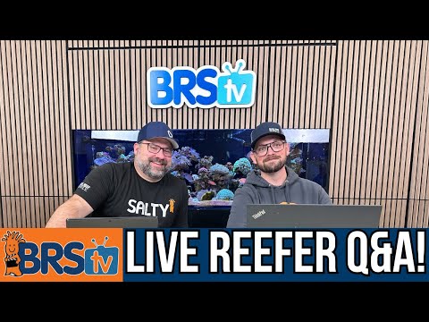 BRStv LIVE Question & Answer Session!