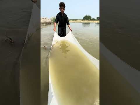 #fishing #fishfarming #villagelife #foryou