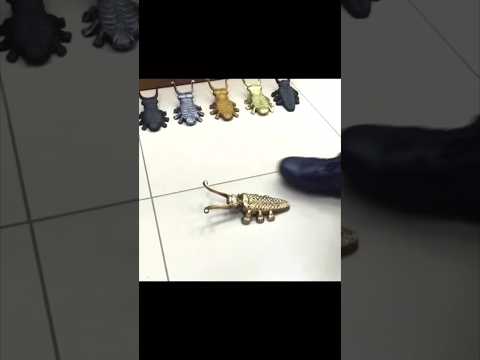 Useless gadgets ??? #shorts #comedy #funny #viral #trending