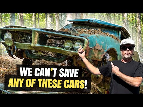 MUSCLECARS LEFT FOR DEAD IN THE WOODS AND THE OWNER WON'T SELL!