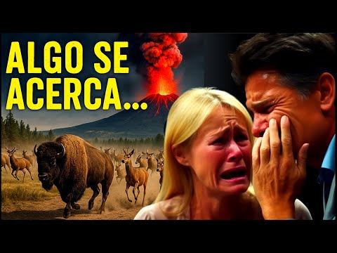 ¡Cientos de Animales Huyen de Yellowstone! ¿Qué Saben Ellos Que Nosotros No?