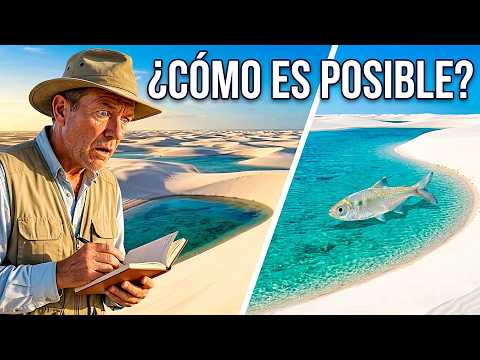 ¿Por Qué Hay Peces en Este Desierto? | Lençóis Maranhenses