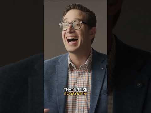If Humans Vanished Would the Nile Survive? | Life After People #shorts