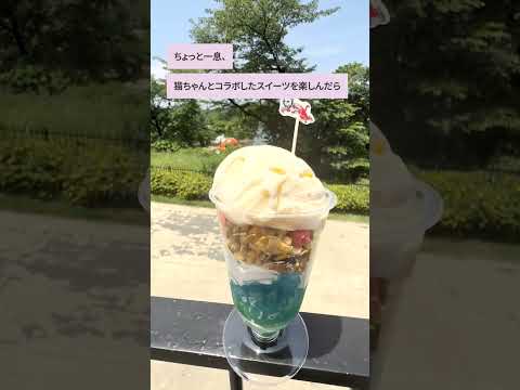 #6自然いっぱいの遊び場で子どもの笑顔もいっぱい！編（ハイパーミュージアム飯能）#HYPERMUSEUMHANNO #metsävillage #自然 #ミュージアム #猫 #日帰り旅行 #美術館