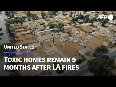 Toxic homes a lasting legacy of Los Angeles fires | AFP