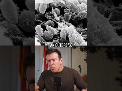Russia Is Ground Zero For Potential Plague Outbreak