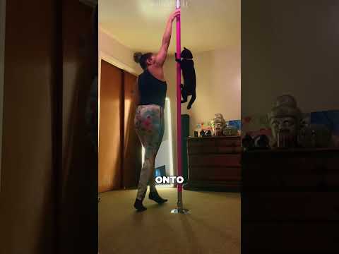 The pole dancing cat 🐈
