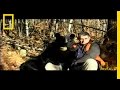 Understanding Black Bear Behavior