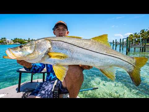 4 days combat fishing for DOCK monster summer snook video thumbnail