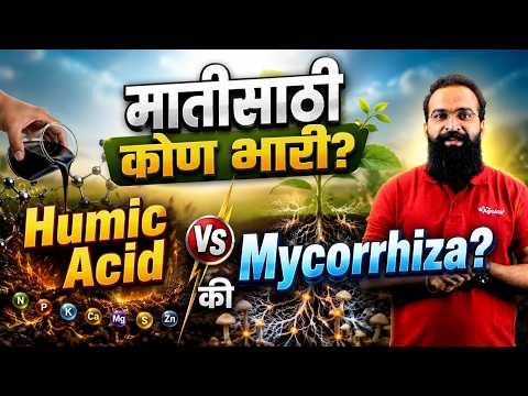 Humic <strong>Acid</strong> आणि Mycorrhiza एकत्र वापरावे का? | तुमच्या जमिनीसाठी योग्य काय? | Root Growth | AgroStar