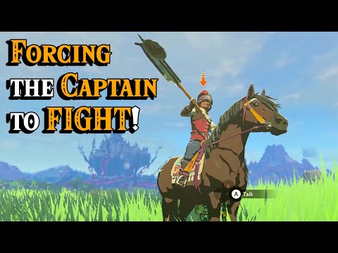 Forcing the Captain to FIGHT in Zelda Tears of the Kingdom