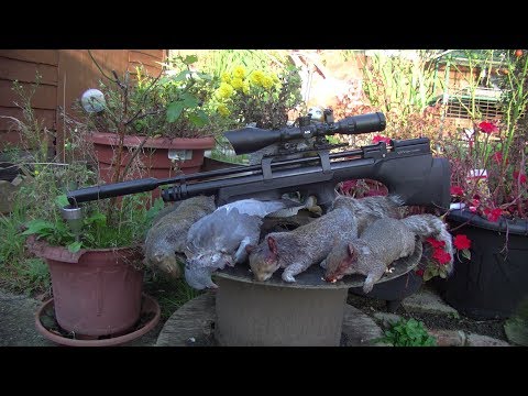 Airgun Hunting 3 Rifle Shoot