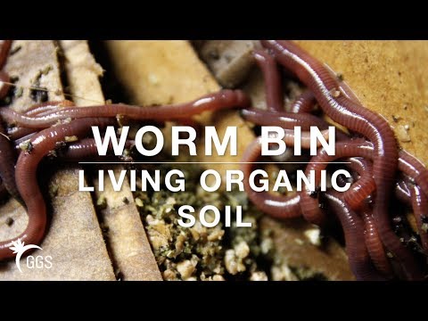 Make the BEST WORM CASTINGS (Low Cost and Quick) DIY: Living Organic Vermicompost Bin in a Smart Pot
