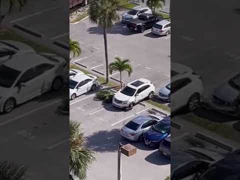 Most intelligent driver in Miami #baddrivers #drivingfails