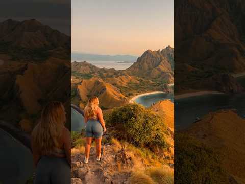 Is this even real 🥹🤍🇮🇩 Komodo stole my heart! #komodoindonesia #indonesia #komodonationalpark