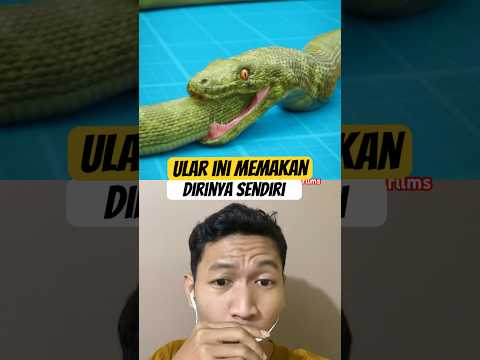 #jaidmeel