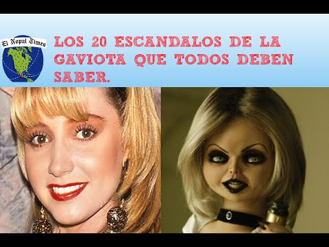 LOS 20 ESCANDALOS DE LA GAVIOTA QUE TODOS DEBEN SABER//El nopal times #ENT 14