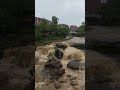 Exploring Greenville and Nature's Power
